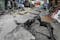 June 8 Mindanao Quake Strongest Since 1976