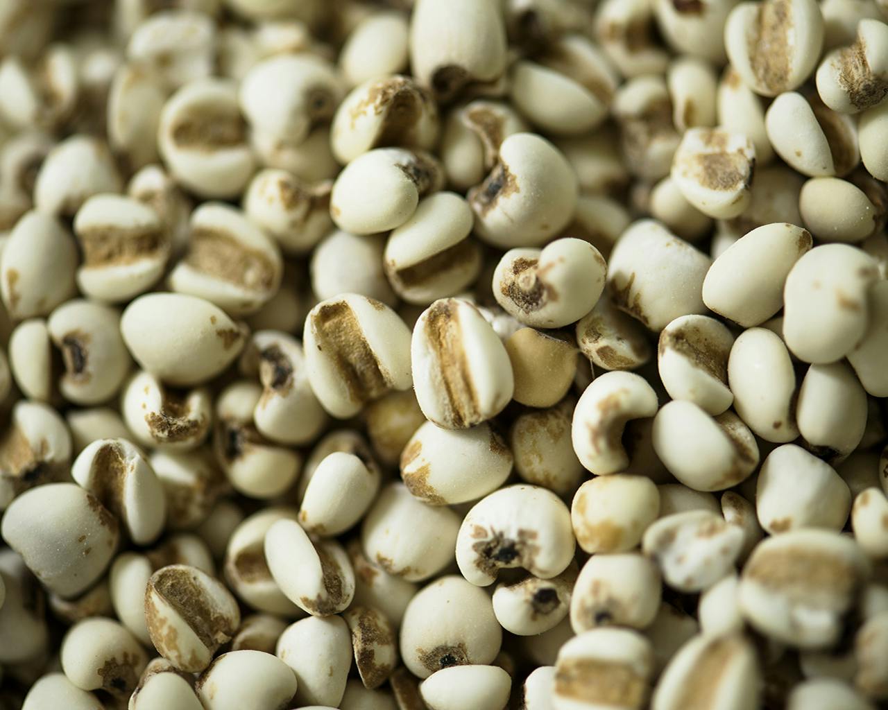 5 Benefits Of Replacing White Rice With Adlai