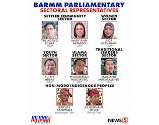 Comelec Names 8 BARMM Sectoral Representatives