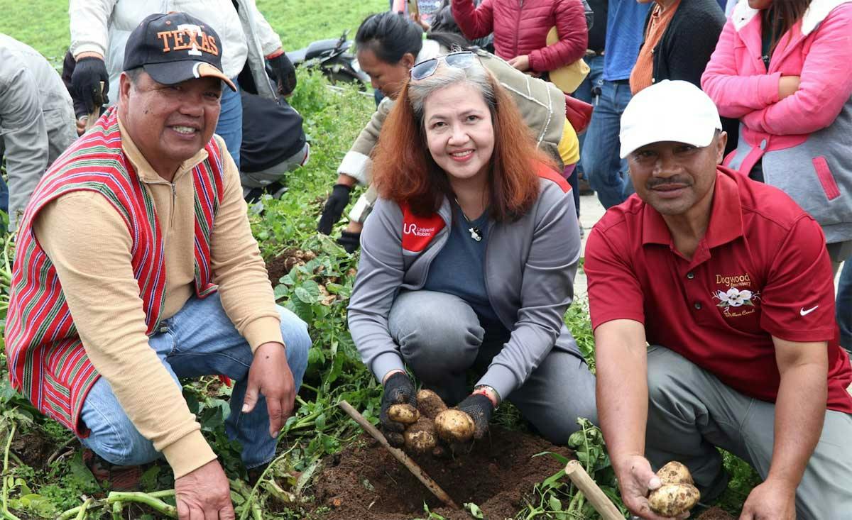 Benguet Potato Farmers Reap Gains From URC’s Sustainable Farming Program