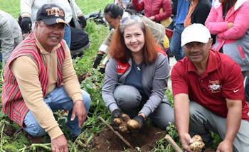 Benguet Potato Farmers Reap Gains From URC’s Sustainable Farming Program