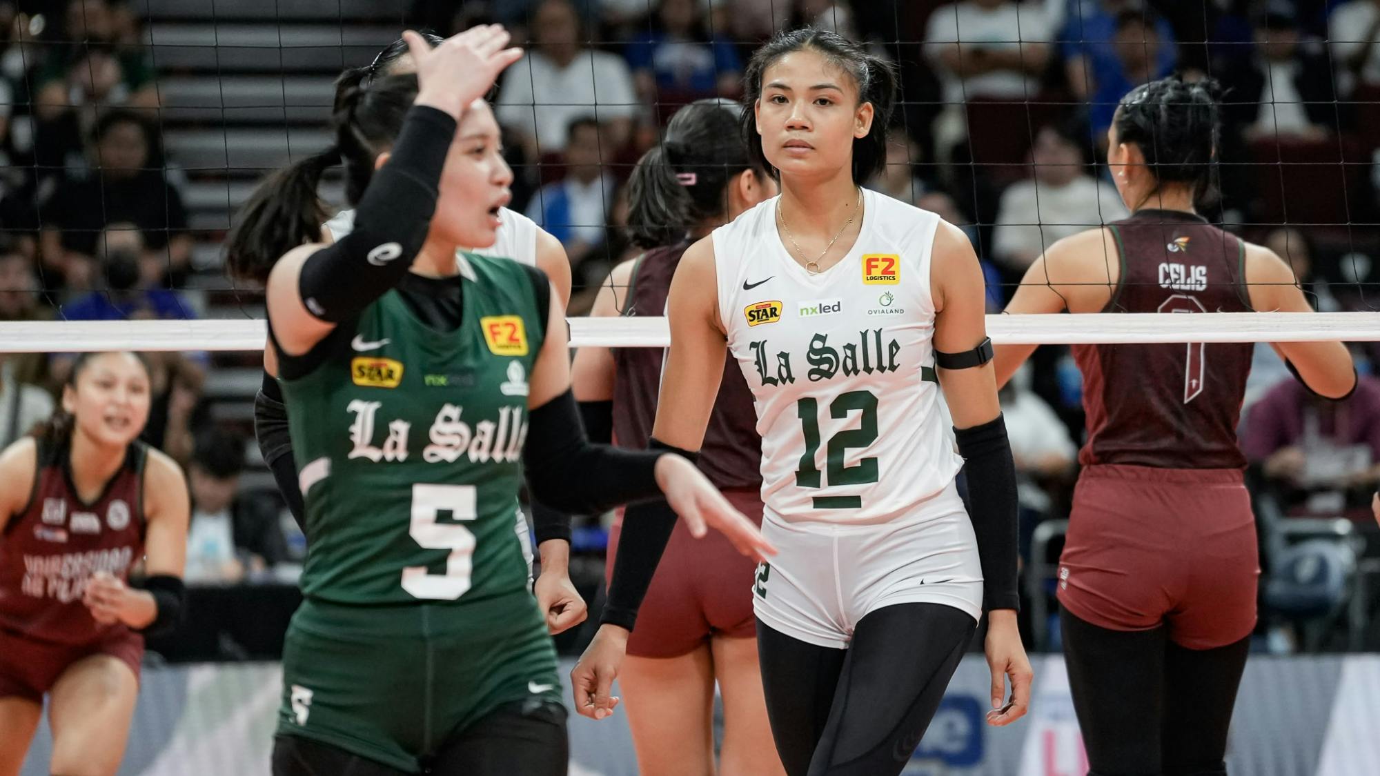 La Salle vents ire on UP as Ramil de Jesus beats former deputy Benson Bocboc in first UAAP showdown