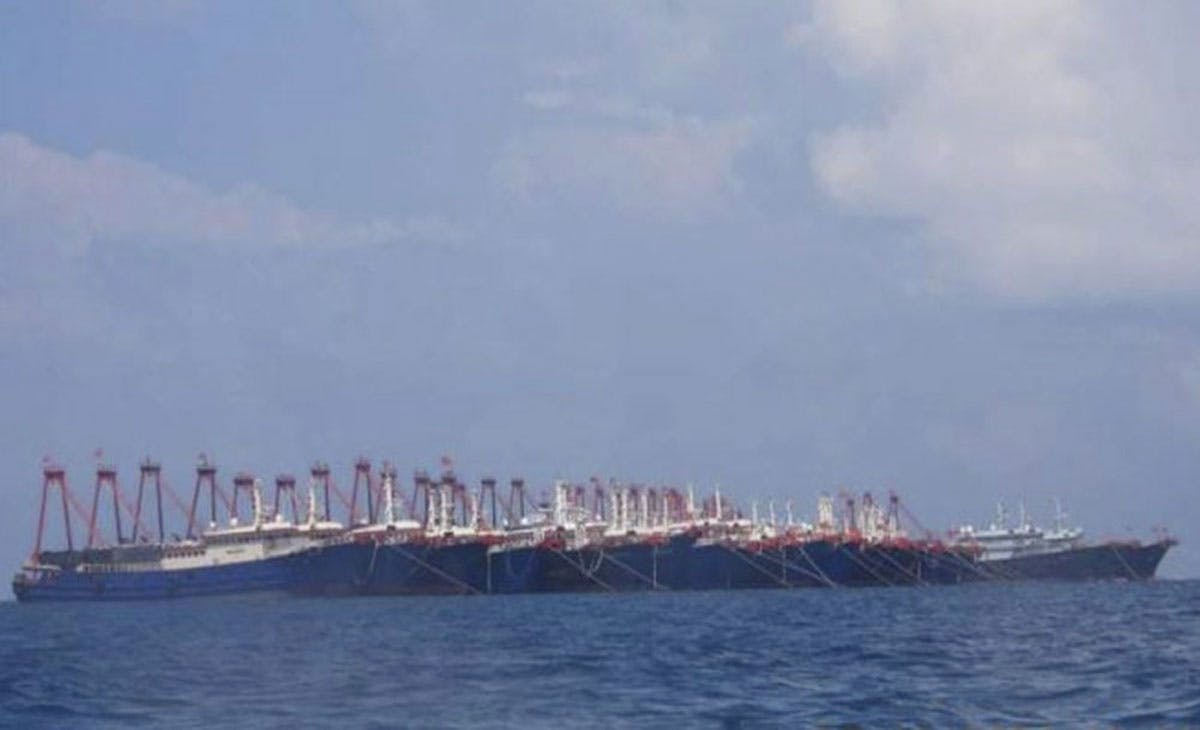 ‘Chinese Fish Catch Reaching Up To P300 Billion A Year’