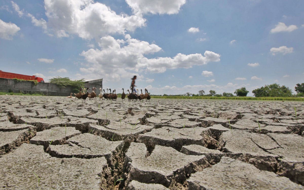 Climate Body Issues El Niño Coping Measures