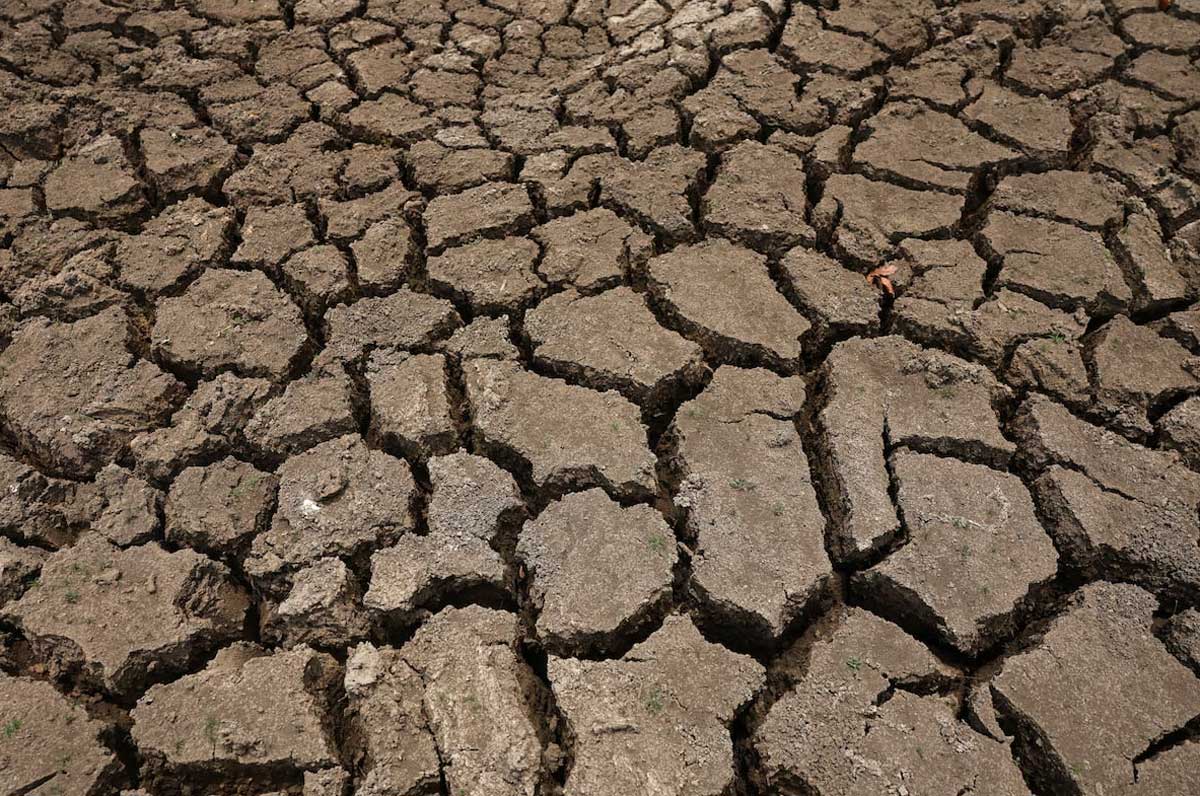 'Super' El Niño Could Cause 451,000 Excess Deaths, Researchers Say