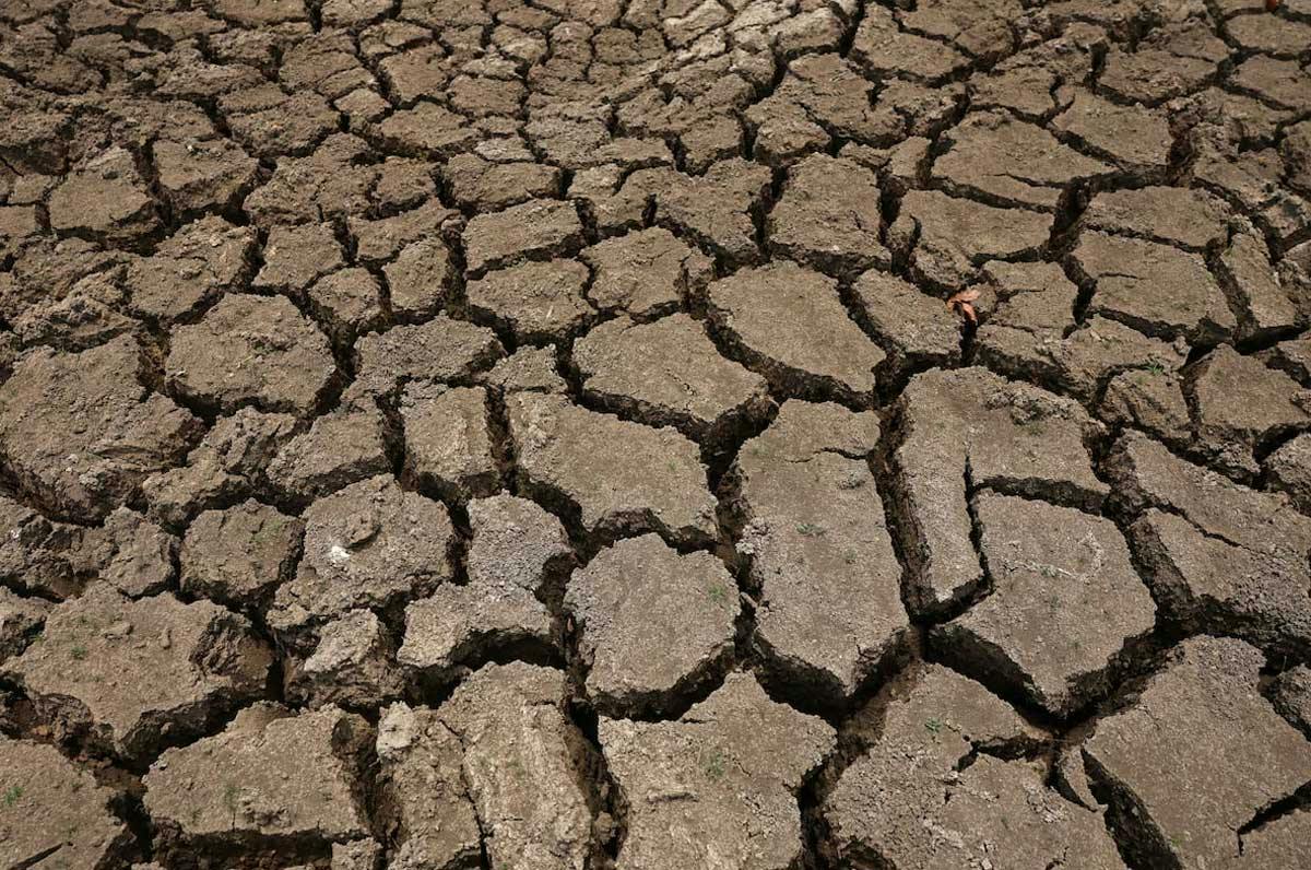 'Super' El Niño Could Cause 451,000 Excess Deaths, Researchers Say