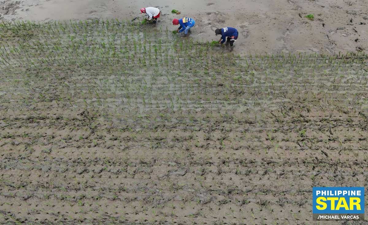 Government Fast-Tracking Projects To Minimize El Niño Impact