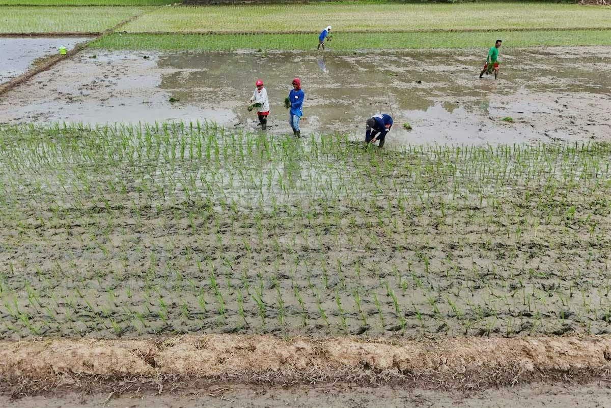 UN: El Niño Set To Intensify, Peak In December And Last Until February 2027