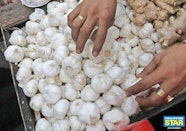 Tons Of Garlic Still Left In Batanes Governor OneNews PH