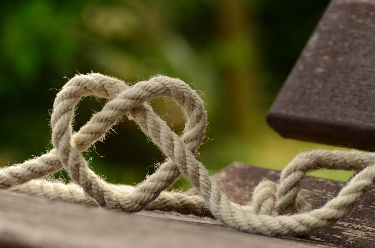 Photo by Pixabay from Pexels Photo by Pixabay from Pexels