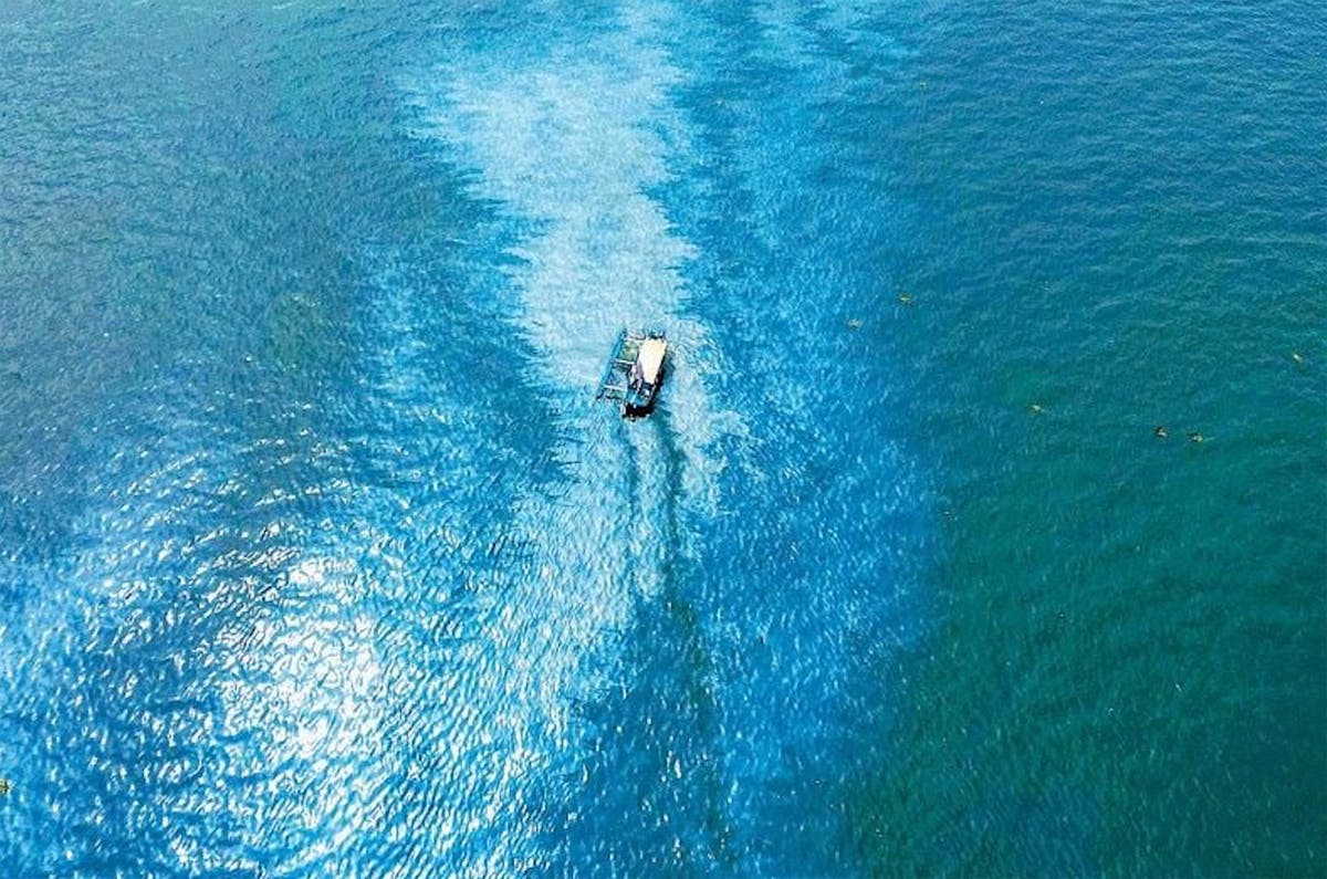 Oil Spill: 8 Cavite Towns Declare State Of Calamity