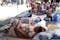 Quake Death Toll Continues To Climb