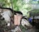4 Dead As Landslides Hit Benguet, Rizal; Maymay Weakens Into LPA