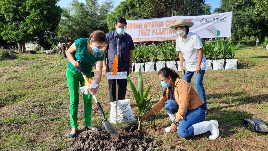 Coco Levy Act To Benefit 3.5M Filipino Farmers And Spur The Development Of Coconut Industry
