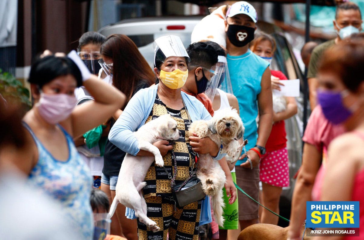 CORRECTED: 59,000 People Die Yearly Because Of Rabies – Expert
