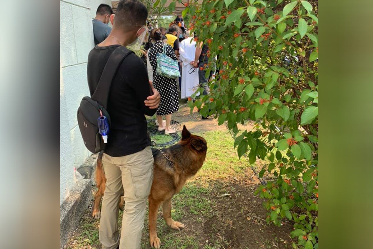 P-Noy’s Favorite Dog Apollo Sad, Uneasy; Police Officers Who Took Care Of Aquino Join Full Military Honors