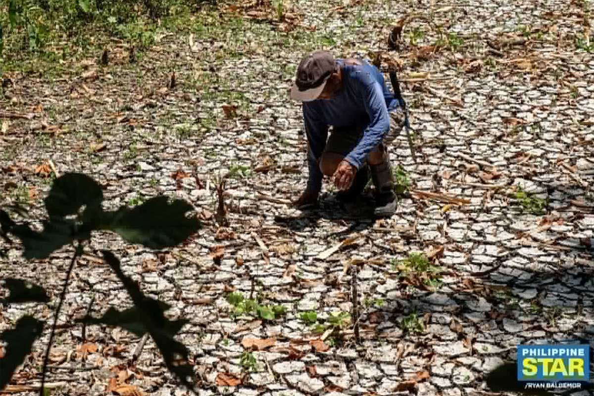 Rainwater Harvesting Infrastructure Needed As El Niño Nears