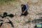 Rainwater Harvesting Infrastructure Needed As El Niño Nears
