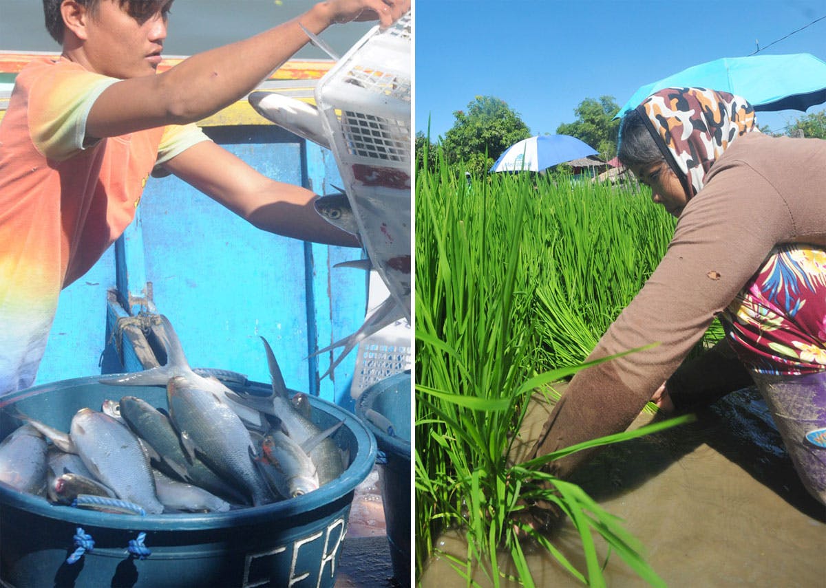 DA Rolls Out P10 Billion Aid For Farmers, Fisherfolk