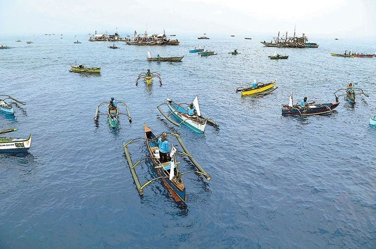 UP Study Reveals Marine Value Of West Philippine Sea