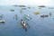 UP Study Reveals Marine Value Of West Philippine Sea