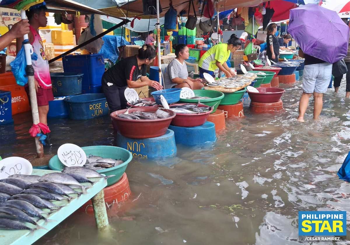 Kiko Pangilinan: Audit Flood Control Funds
