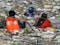 Dizon: Parañaque Faces ‘Garbage Crisis’