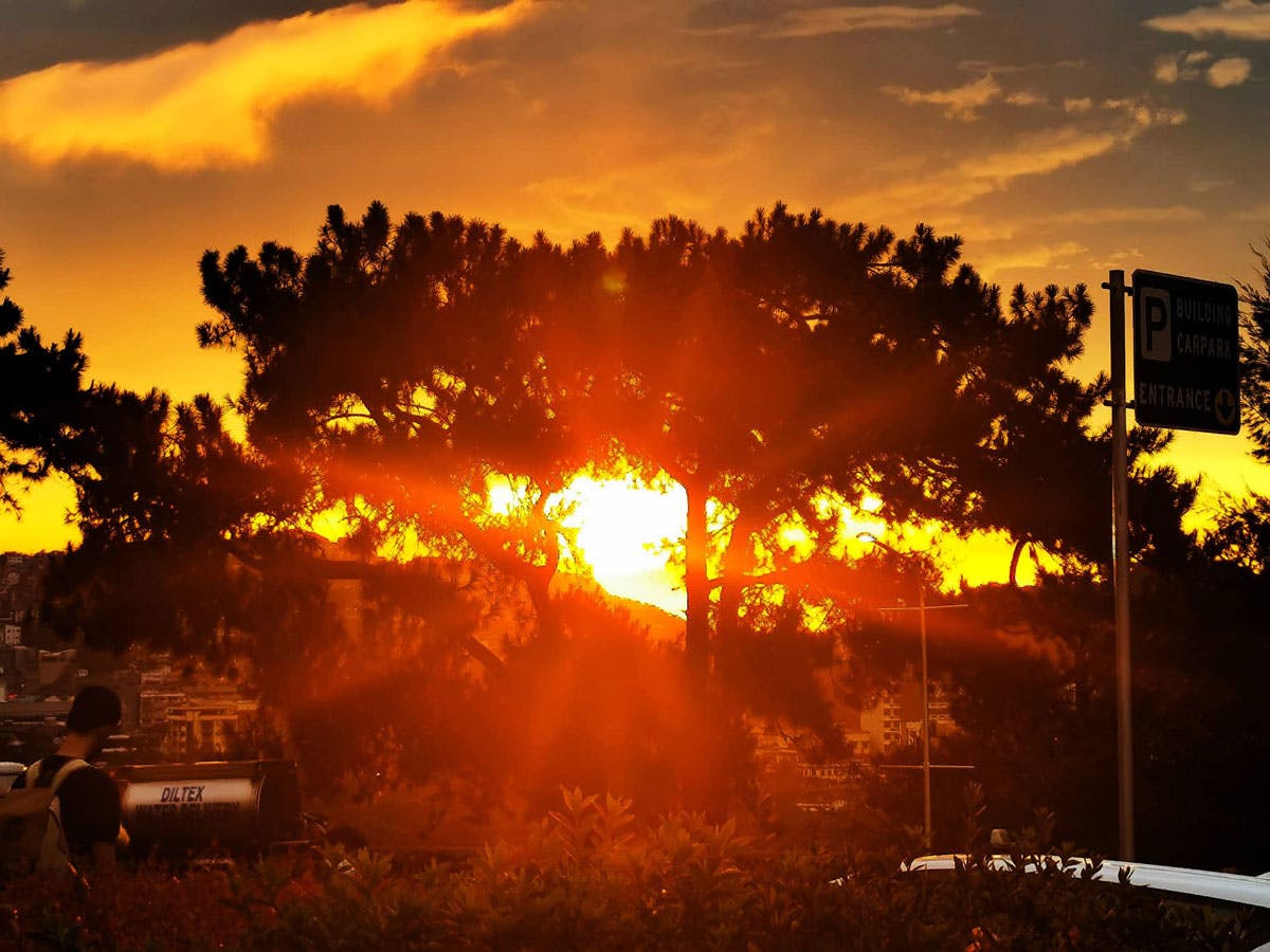 Country Experiences Longest Day Of The Year