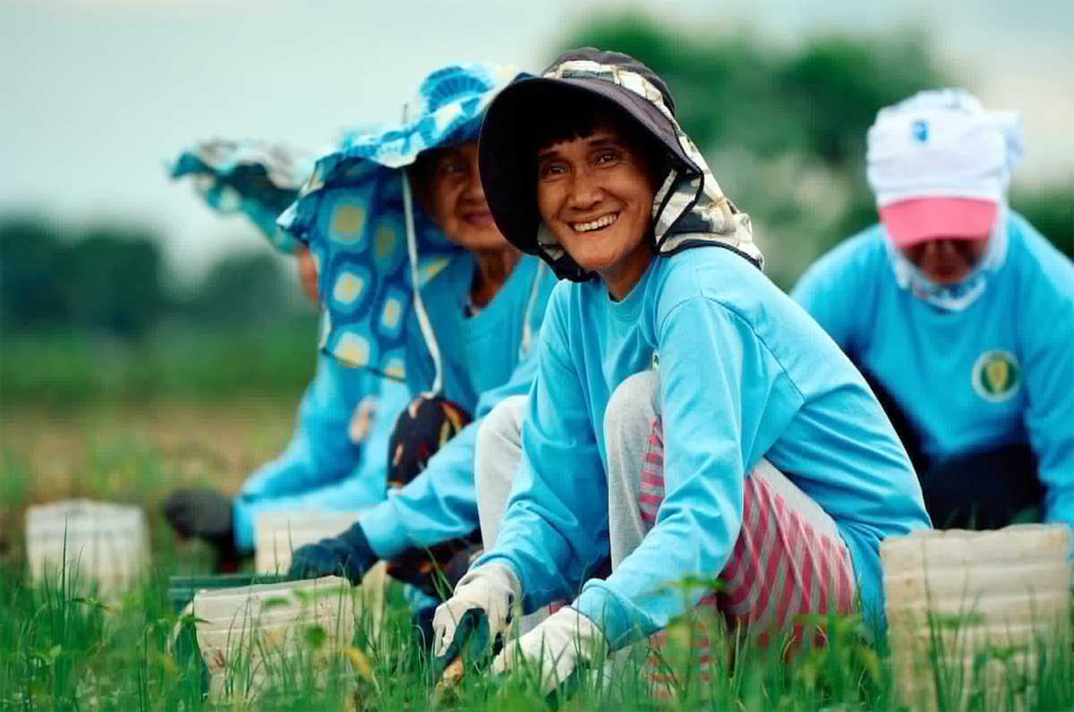 BanKo, Jollibee Group Foundation Strengthen Support For Filipino Onion Farmers Through Financing Partnership