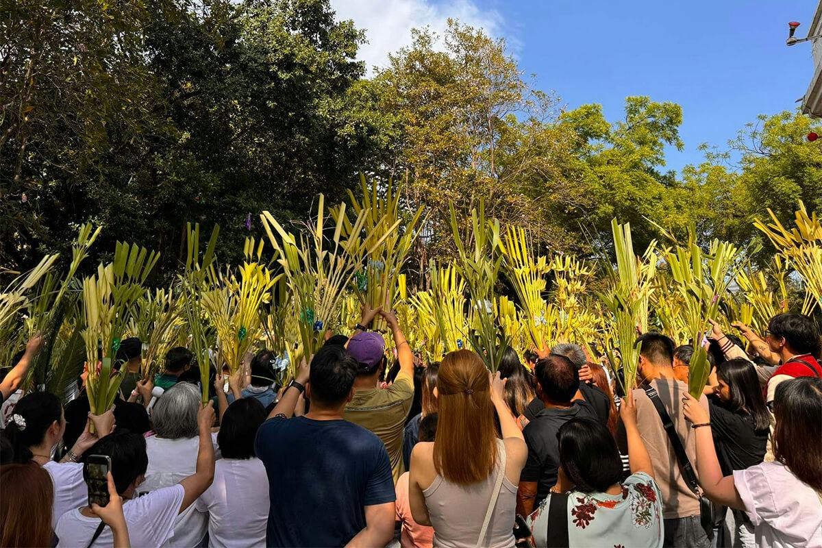 DOH Activates Code White Alert